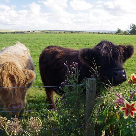 Carrig Lios Bed and Breakfast Thurso Buitenkant foto