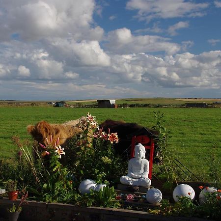 Carrig Lios Bed and Breakfast Thurso Buitenkant foto