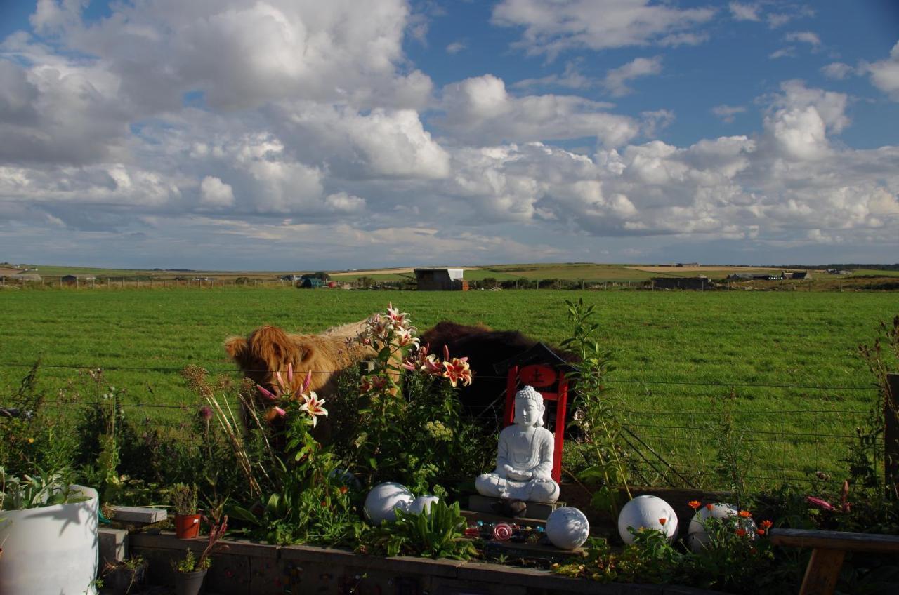 Carrig Lios Bed and Breakfast Thurso Buitenkant foto